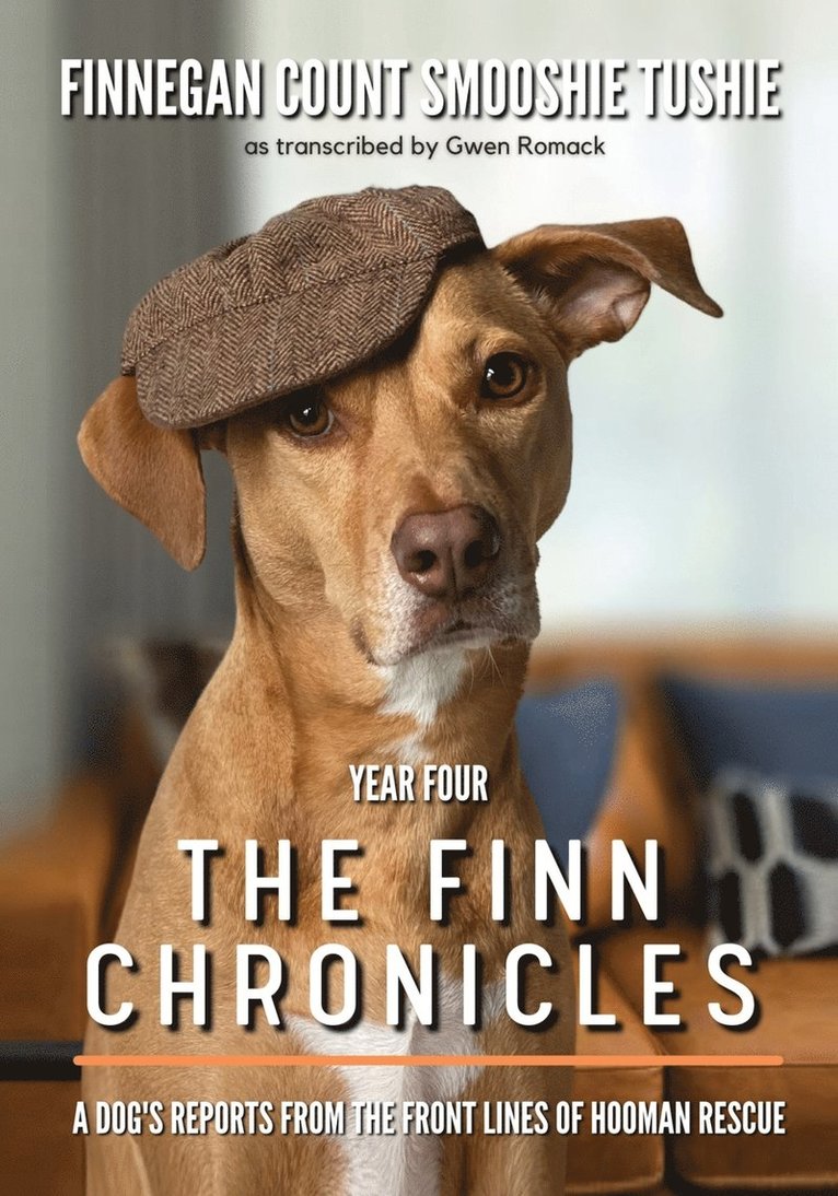 Gwen Romack - Finn Chronicles, Häftad
