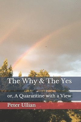 The Why & The Yes 1