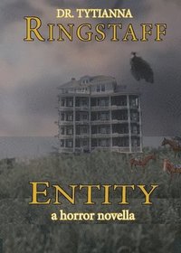 bokomslag Entity: A Horror Novella