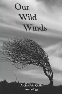bokomslag Our Wild Winds