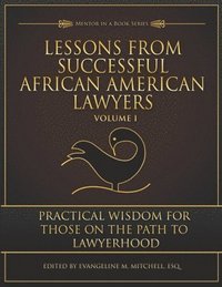 bokomslag Lessons from Successful African American Lawyers: Practical Wisdom for Those on the Path to Lawyerhood (Volume I)