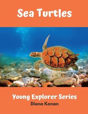 Sea Turtles 1