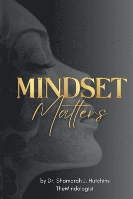 bokomslag Mindset Matters