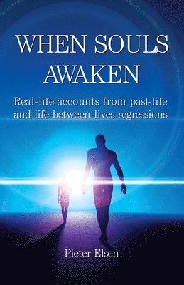 When Souls Awaken; Real-life accounts of past-life and life-between-lives regressions 1