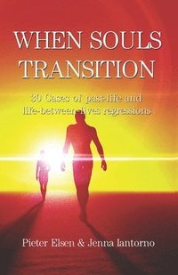 bokomslag When souls transition