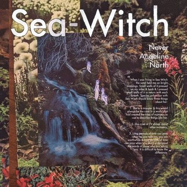 bokomslag Sea-Witch