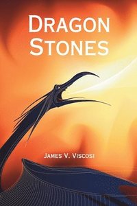 bokomslag Dragon Stones