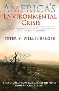 bokomslag America's Environmental Crisis