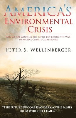 Peter S Wellenberger - America's Environmental Crisis, Häftad