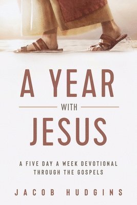 bokomslag Year with Jesus