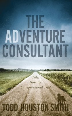 bokomslag Adventure Consultant