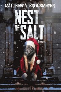 bokomslag Nest of Salt: Stories
