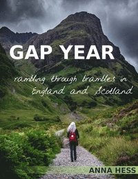 bokomslag Gap Year
