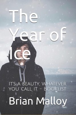 Brian Malloy - Year of Ice, Häftad