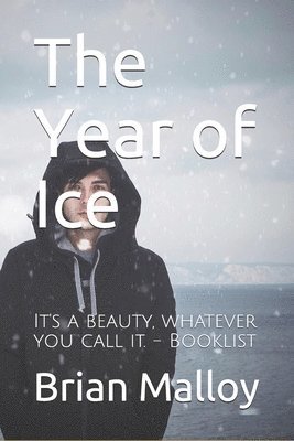 bokomslag The Year of Ice