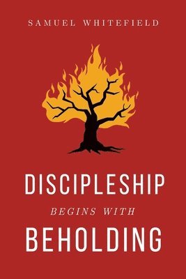 Discipleship Begins with Beholding 1