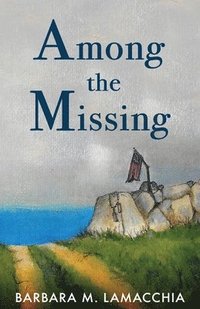 bokomslag Among the Missing