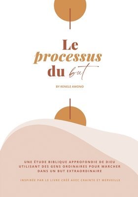 bokomslag Le processus du but