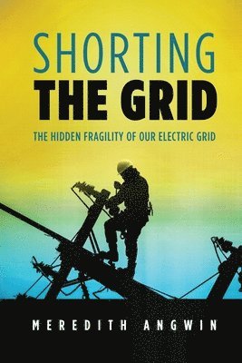 Shorting the Grid 1