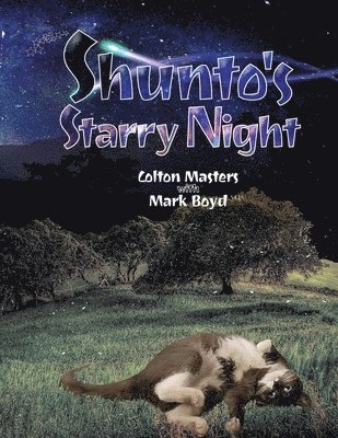 Shunto's Starry Night 1