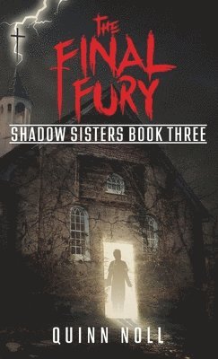 The Final Fury 1