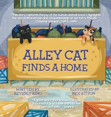 Alley Cat Finds A Home 1