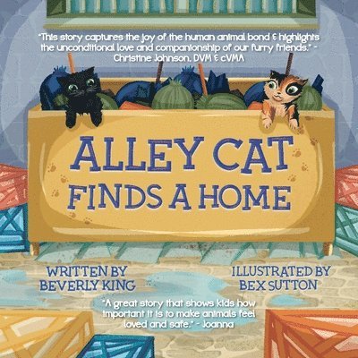 Alley Cat Finds A Home 1