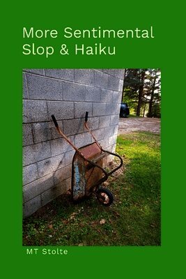 Matthew Stolte - More Sentimental Slop & Haiku, Häftad