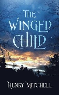 bokomslag The Winged Child
