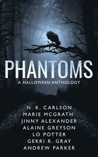 bokomslag Phantoms