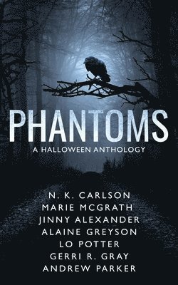 bokomslag Phantoms