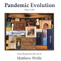 bokomslag Pandemic Evolution