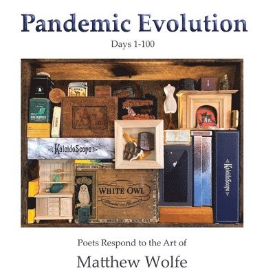 Pandemic Evolution 1