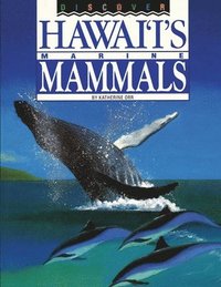 bokomslag Discover Hawai'i's Marine Mammals