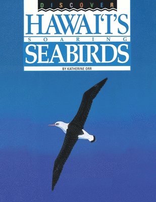 bokomslag Discover Hawai'i's Soaring Seabirds