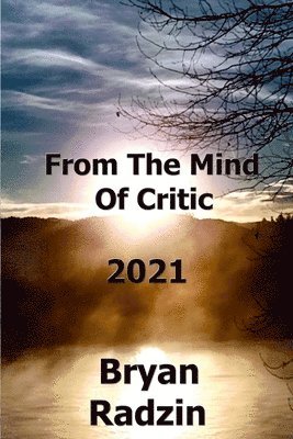 bokomslag From The Mind Of Critic