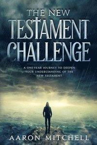 bokomslag The New Testament Challenge