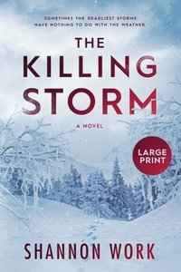 bokomslag The Killing Storm