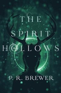 bokomslag Spirit Hollows