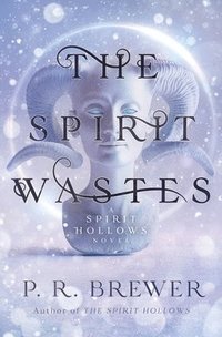 bokomslag Spirit Wastes