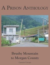 bokomslag A Prison Anthology
