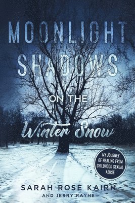 Moonlight Shadows on the Winter Snow 1