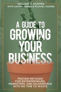 bokomslag A Guide to Growing Your Business