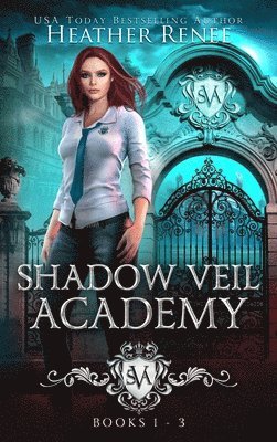 bokomslag Shadow Veil Academy