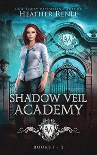 bokomslag Shadow Veil Academy