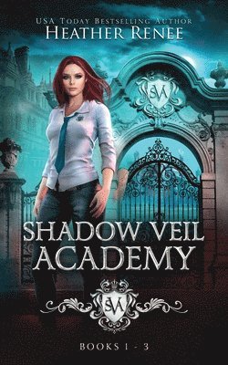 Heather Renee - Shadow Veil Academy, Häftad