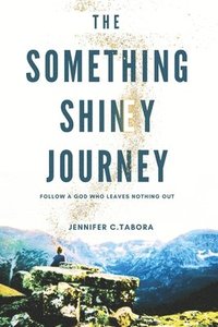bokomslag The Something Shiney Journey