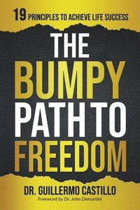 bokomslag Bumpy Path to Freedom, 19 Principles to Achieve Life Success