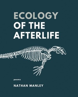 bokomslag Ecology of the Afterlife