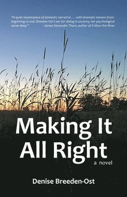bokomslag Making It All Right